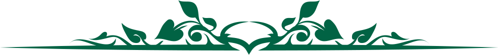 Separador8
